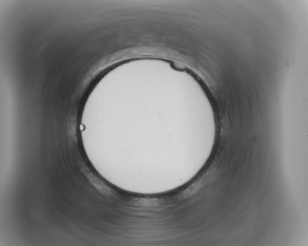 X0000115101499200911241223