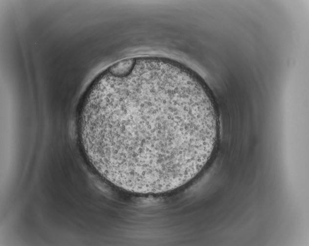 X0000115101501200911241223