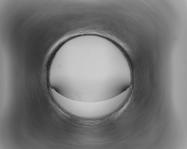 X0000115101502200911241223