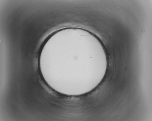 X0000115101503200911241223