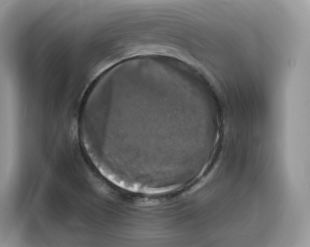 X0000115101505200911241223