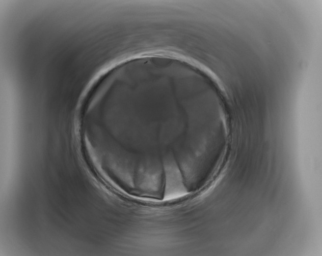 X0000115101506200911241223