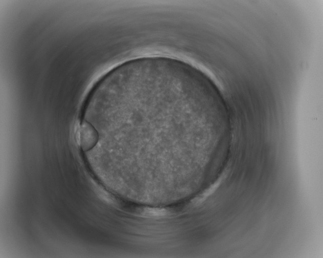 X0000115101509200911241223