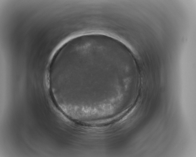 X0000115101510200911241223