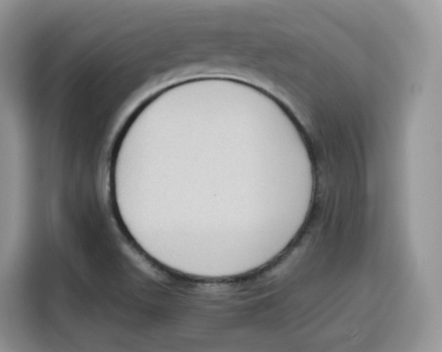 X0000115101511200911241223