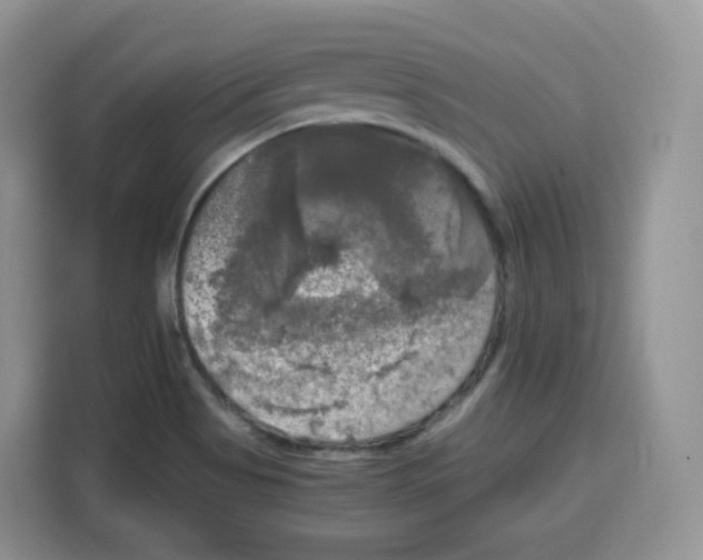 X0000115101513200911241223