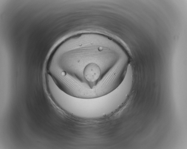 X0000115101514200911241223