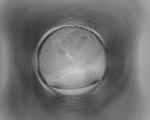 X0000115101515200911241223