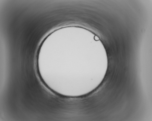 X0000115101518200911241223