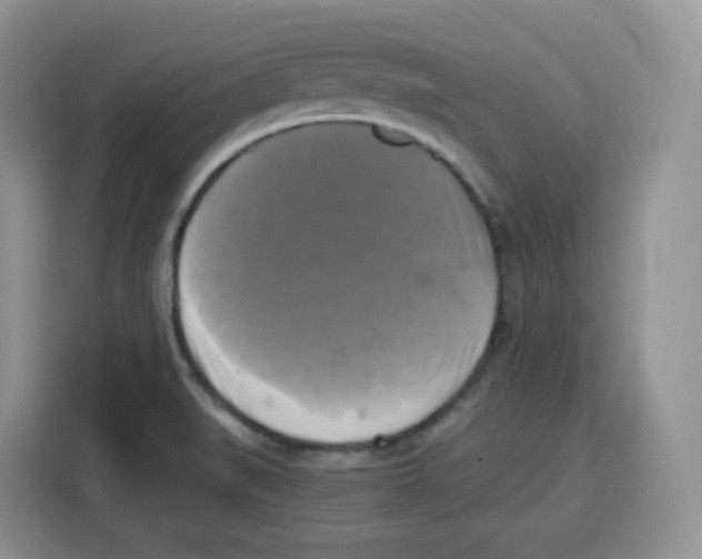 X0000115101519200911241223