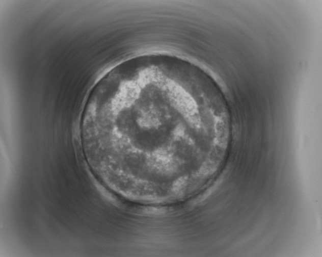 X0000115101521200911241223