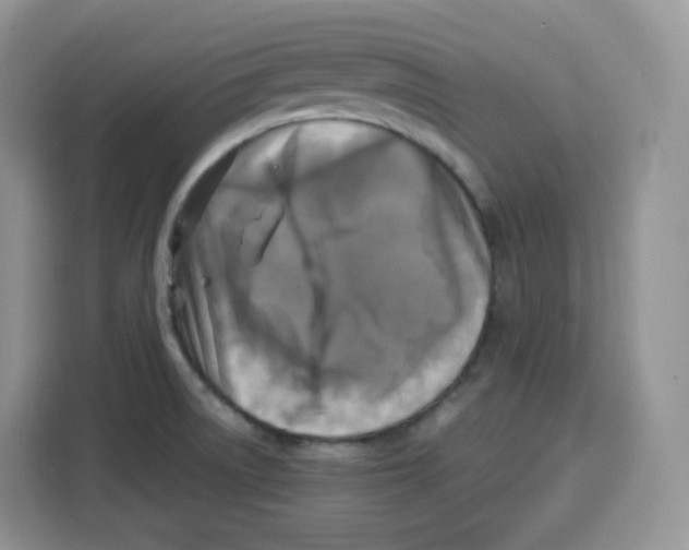 X0000115101522200911241223