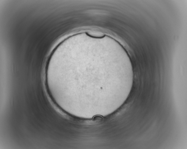 X0000115101523200911241223