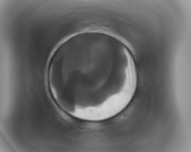 X0000115101525200911241223