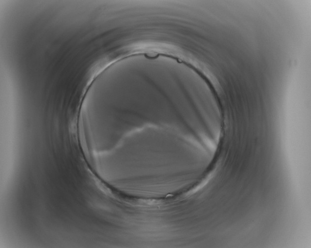 X0000115101529200911241223