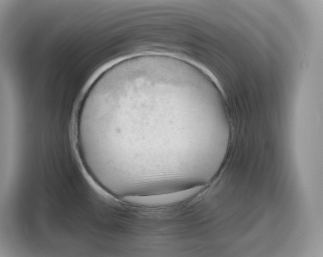 X0000115101531200911241223