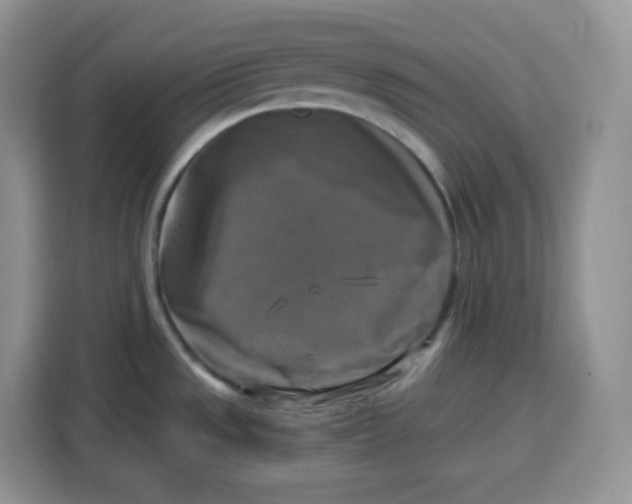 X0000115101533200911241223