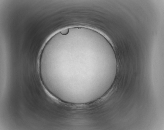 X0000115101535200911241223