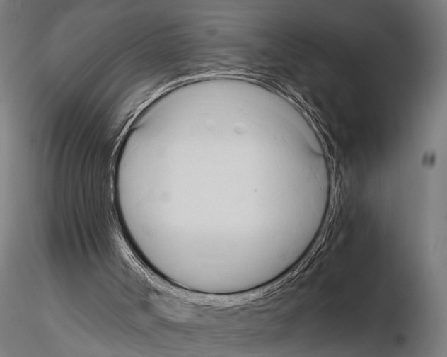 X0000115100002200912081309