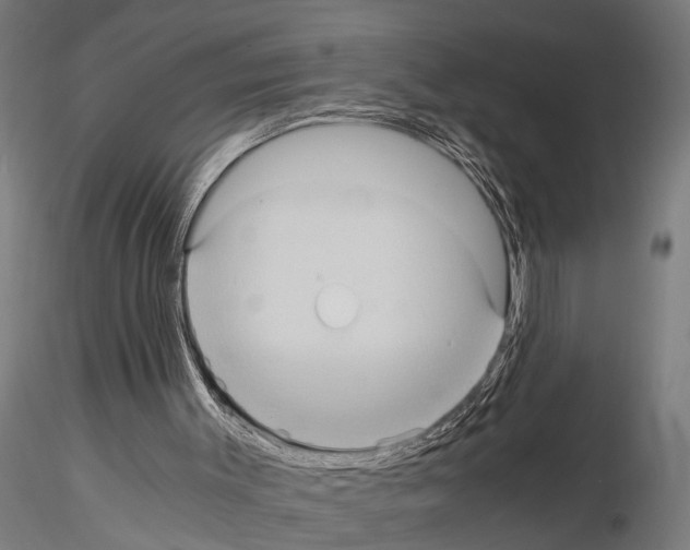 X0000115100003200912081309