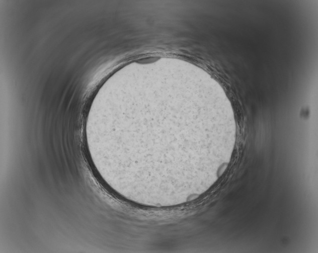 X0000115100005200912081309