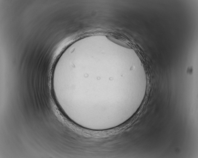 X0000115100006200912081309