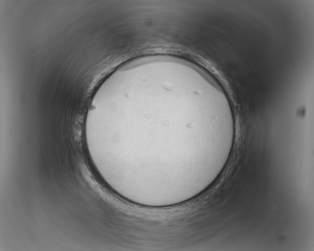 X0000115100010200912081309