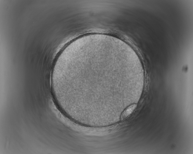 X0000115100011200912081309