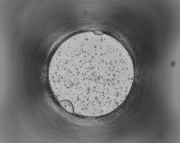 X0000115100012200912081309