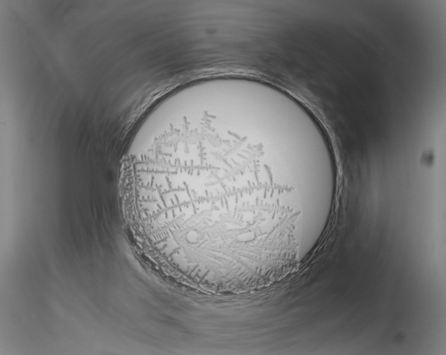 X0000115100013200912081309