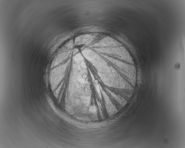 X0000115100014200912081309