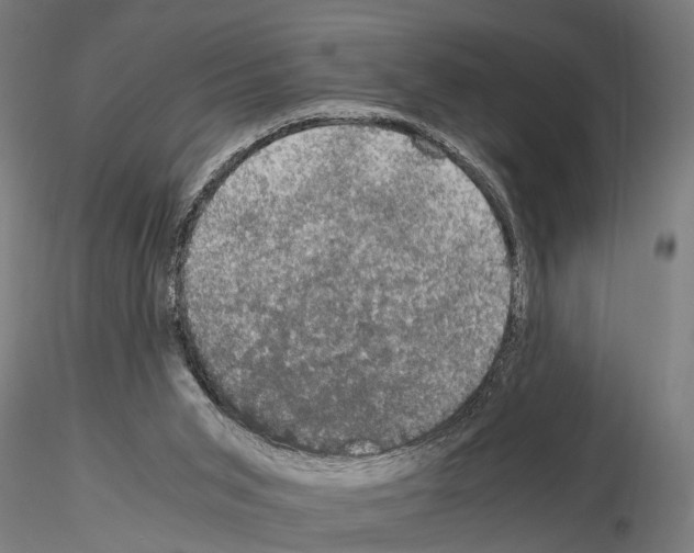 X0000115100015200912081309