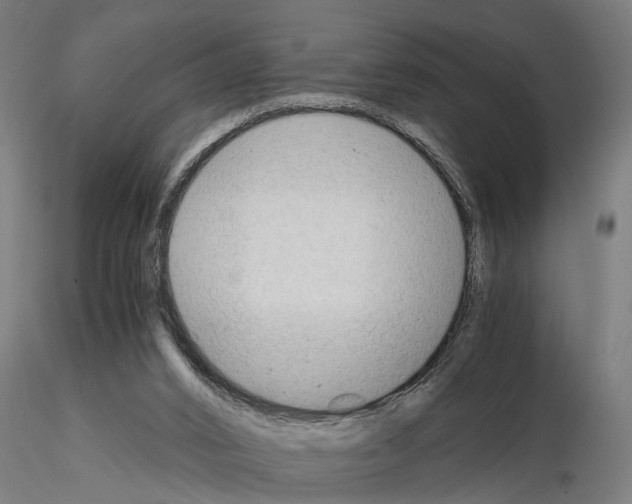 X0000115100016200912081309