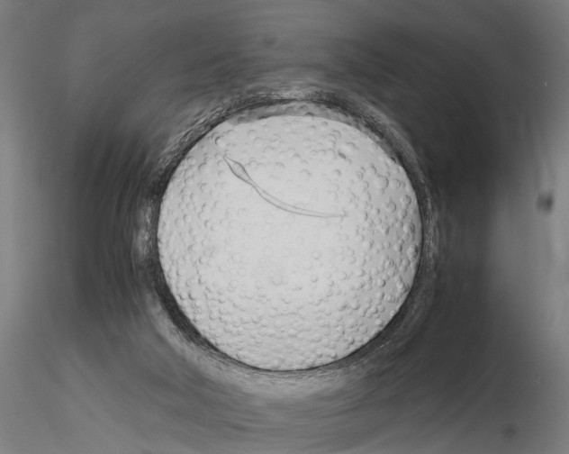 X0000115100018200912081309