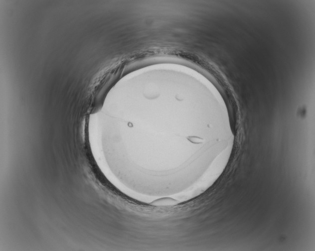 X0000115100019200912081309