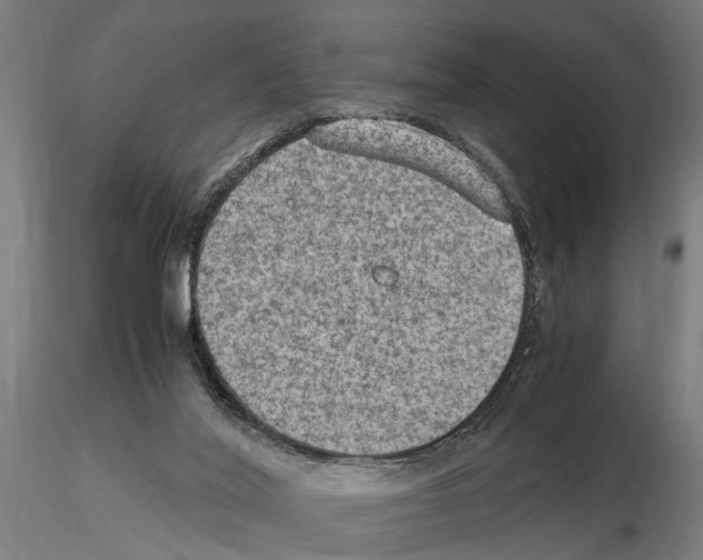 X0000115100020200912081309