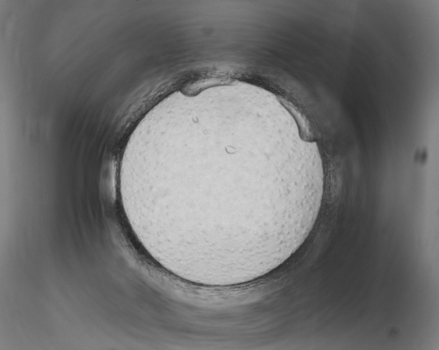 X0000115100022200912081309