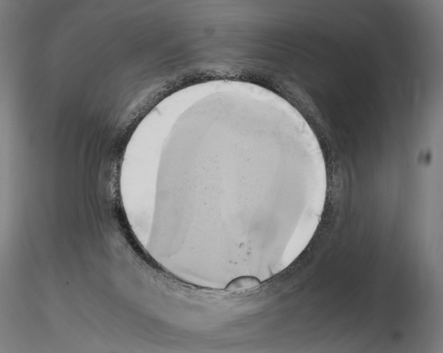 X0000115100023200912081309