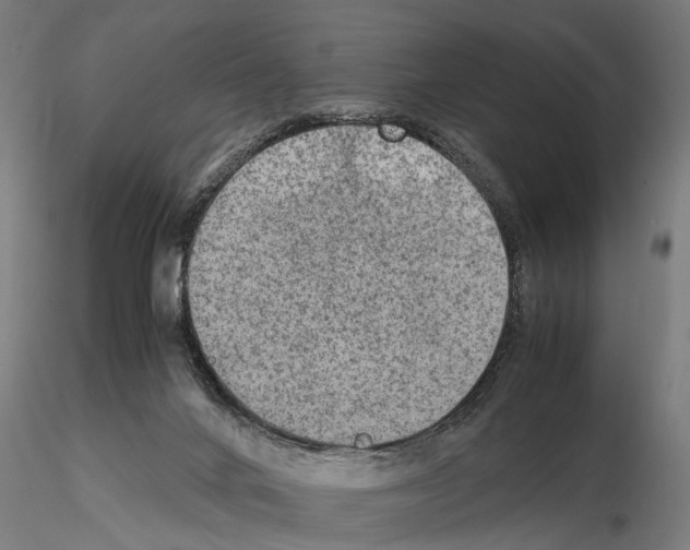 X0000115100024200912081309