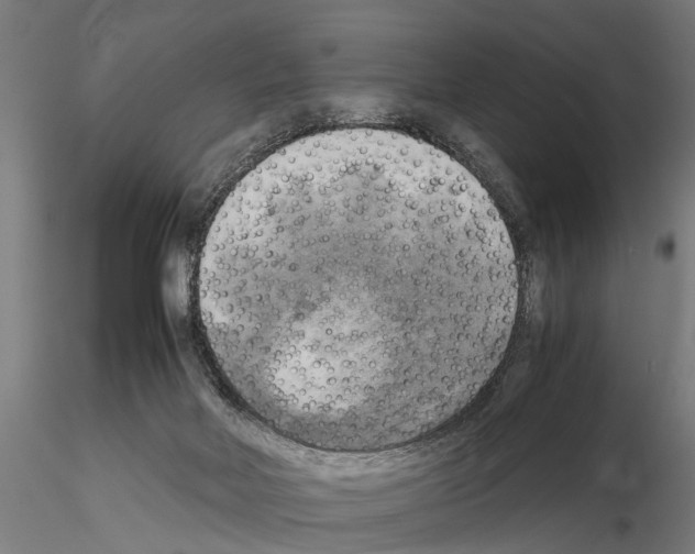 X0000115100026200912081309