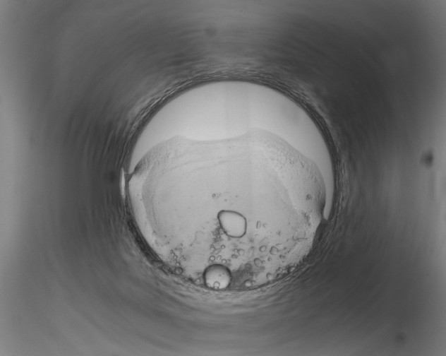 X0000115100027200912081309