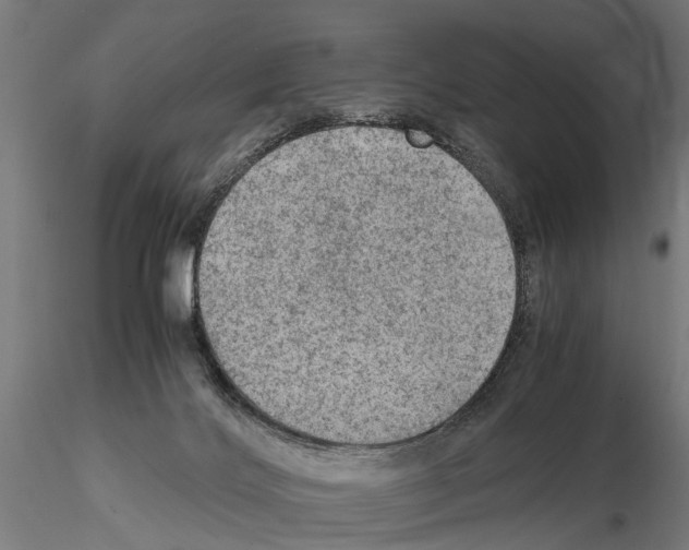 X0000115100028200912081309