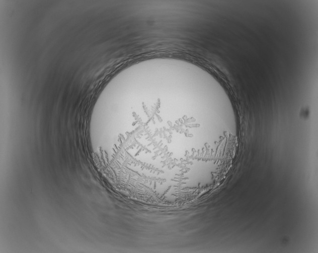 X0000115100029200912081309