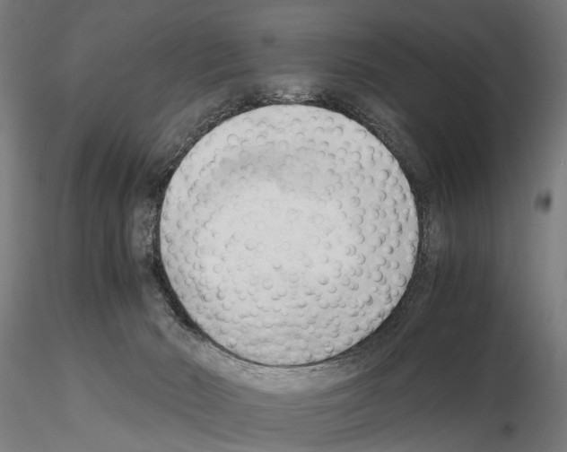 X0000115100030200912081309