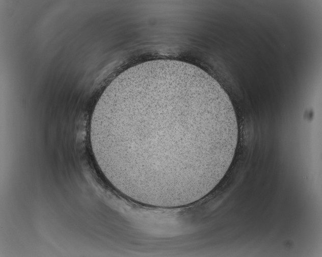 X0000115100032200912081309