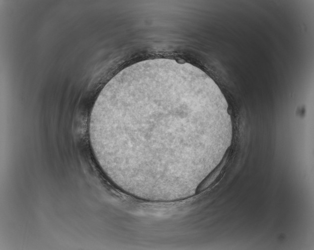 X0000115100033200912081309