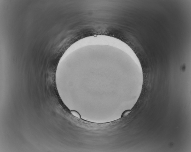 X0000115100035200912081309