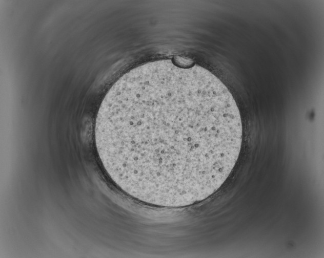 X0000115100036200912081309