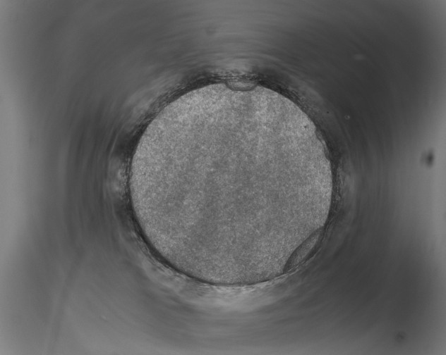 X0000115100037200912081309