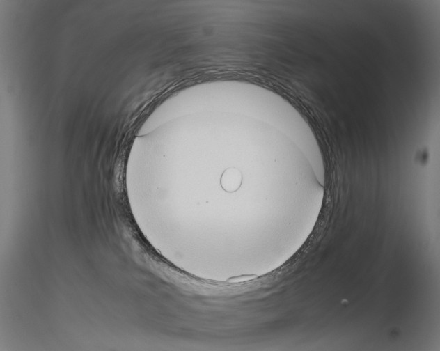 X0000115100039200912081309